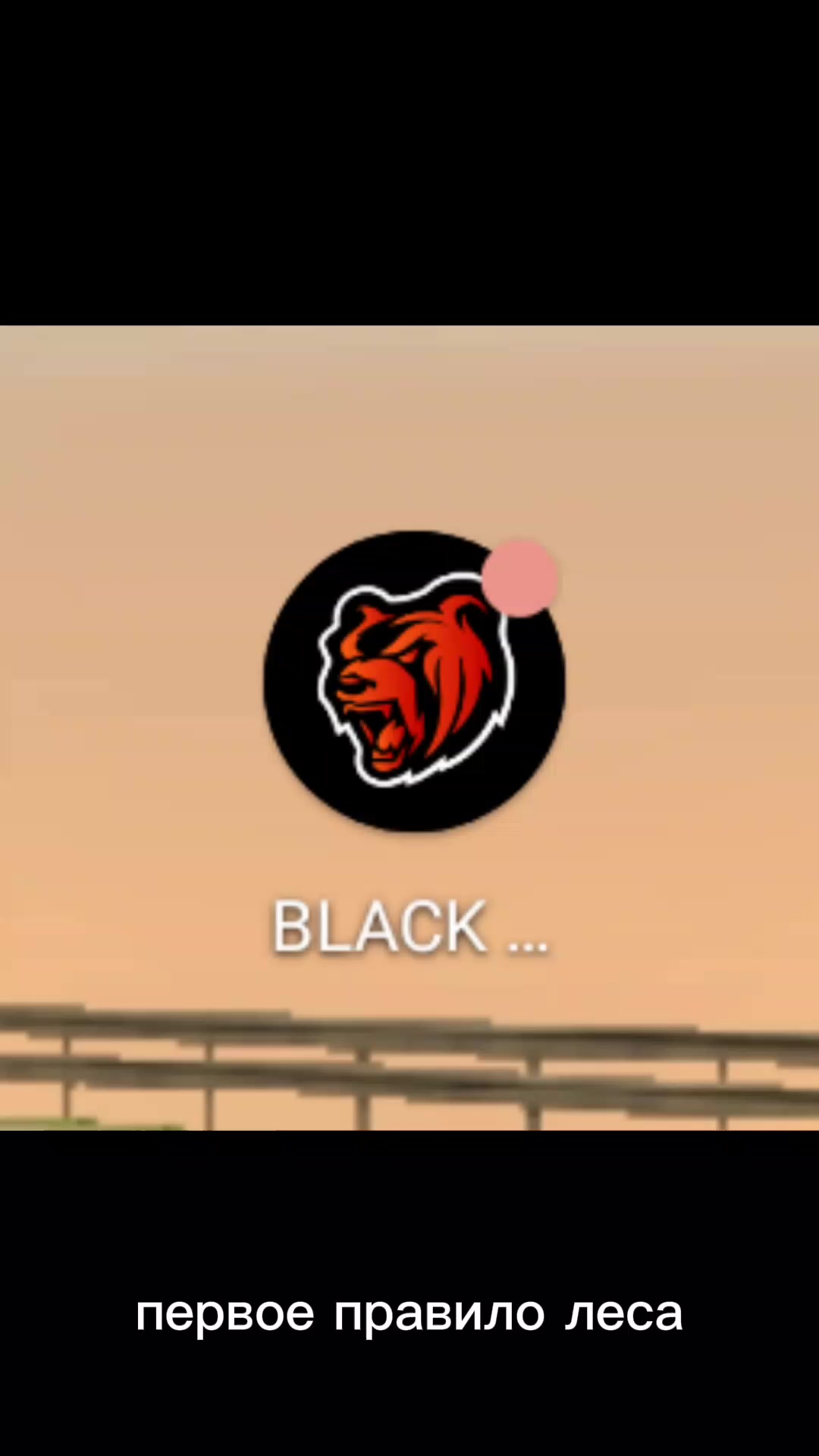 @krabik