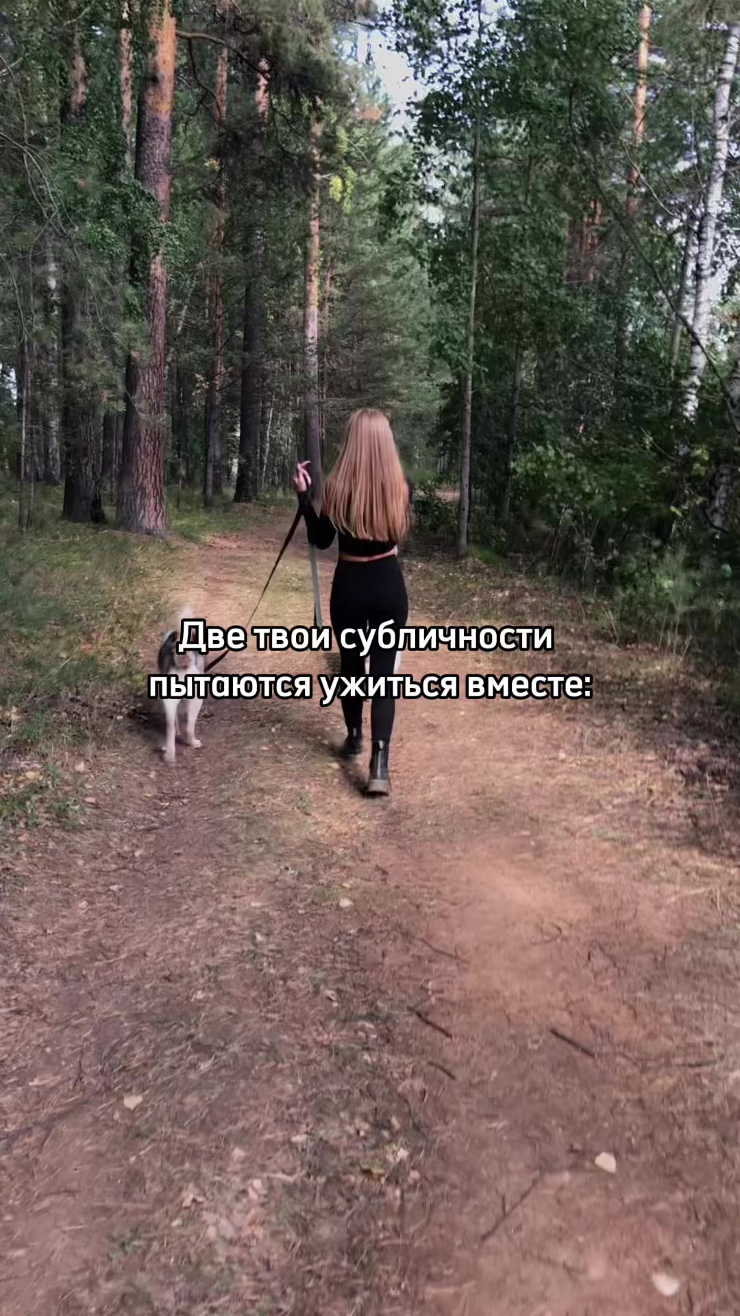 @the.twilight.vixen