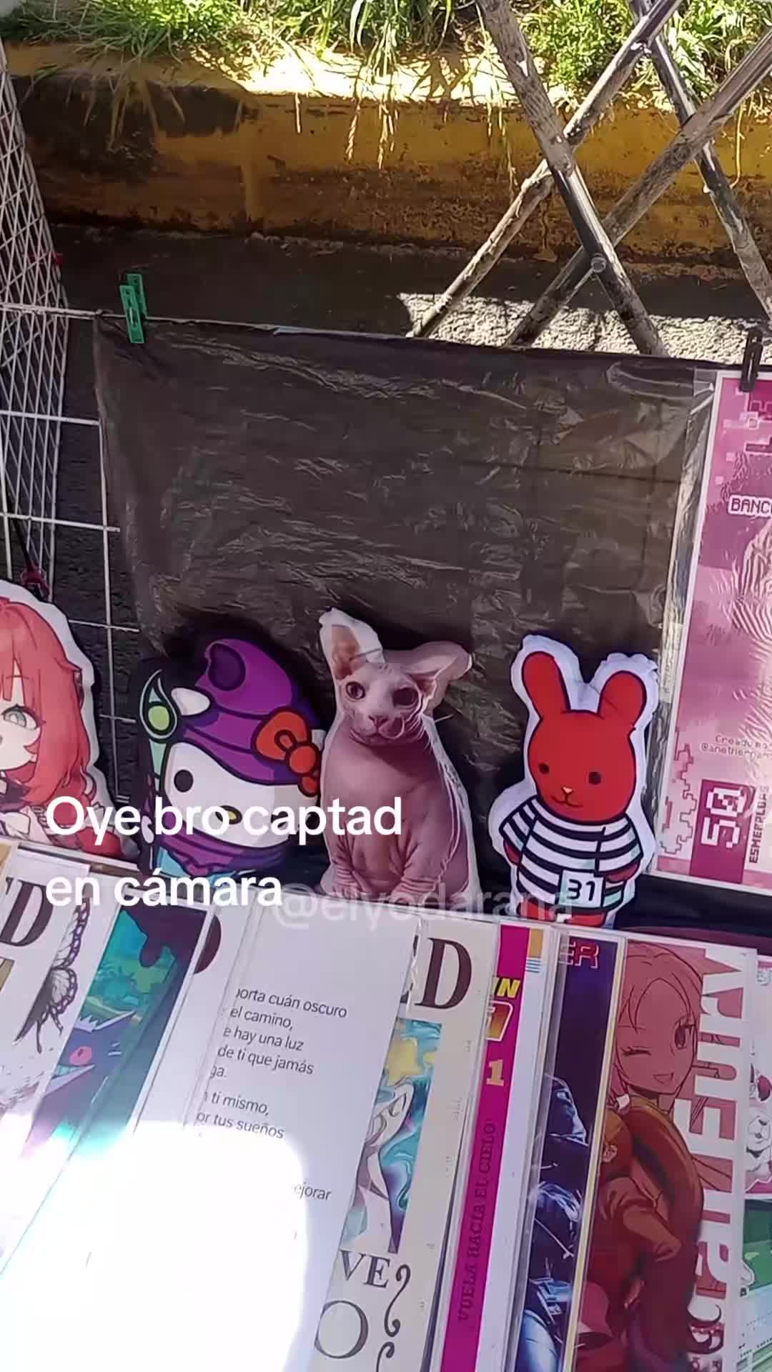 @Elyodaarana