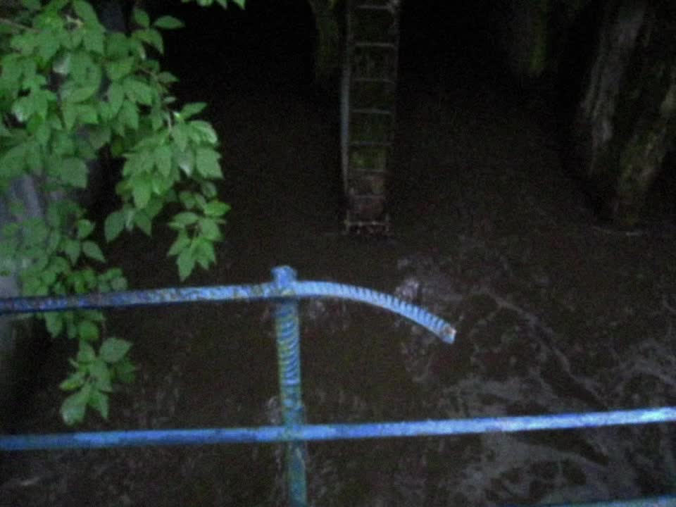 @мяумур