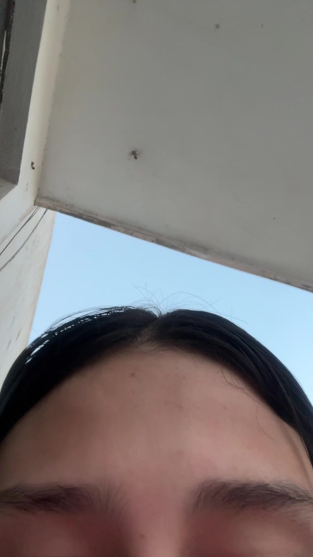 @zerphyyyyy