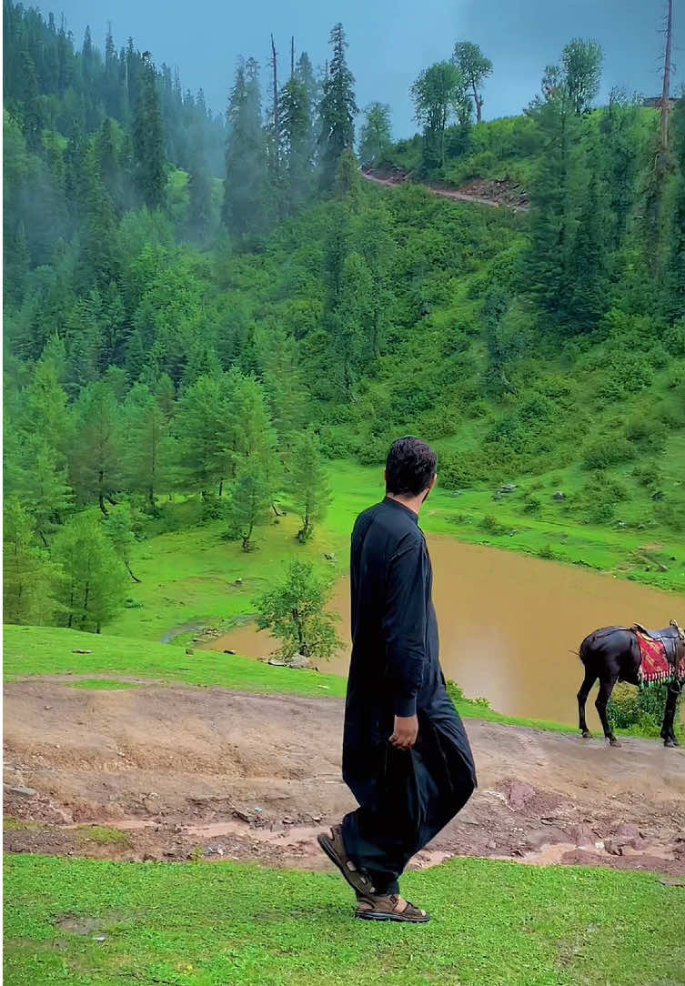 @Faisal (فیصل)