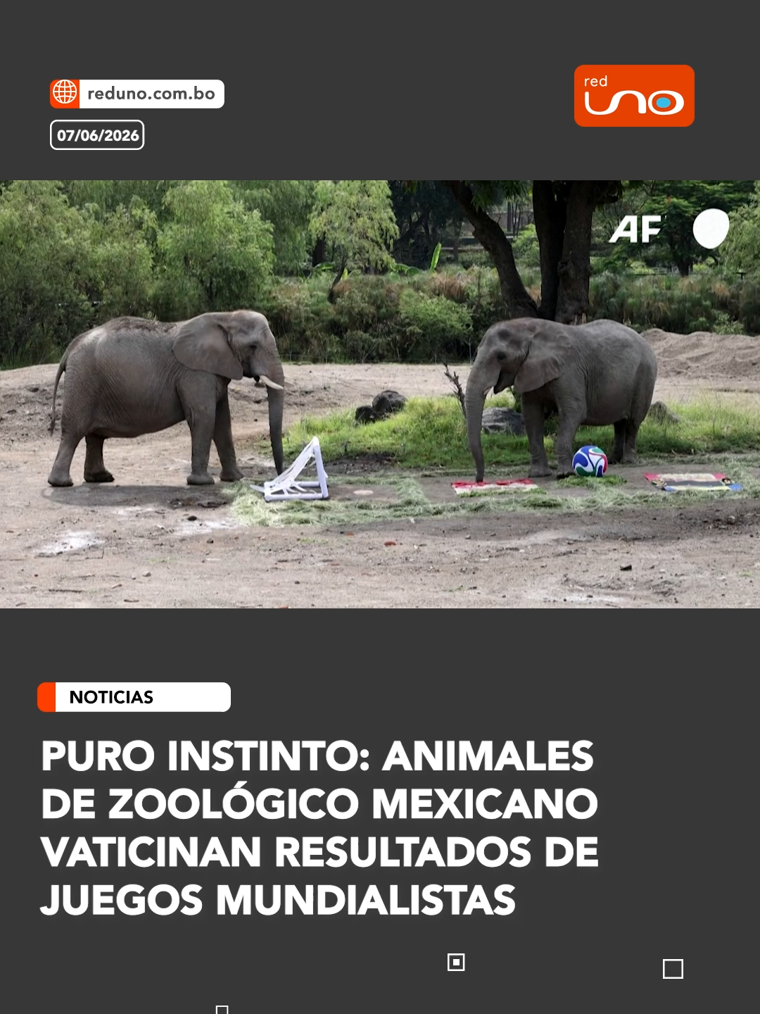 @RED UNO DE BOLIVIA