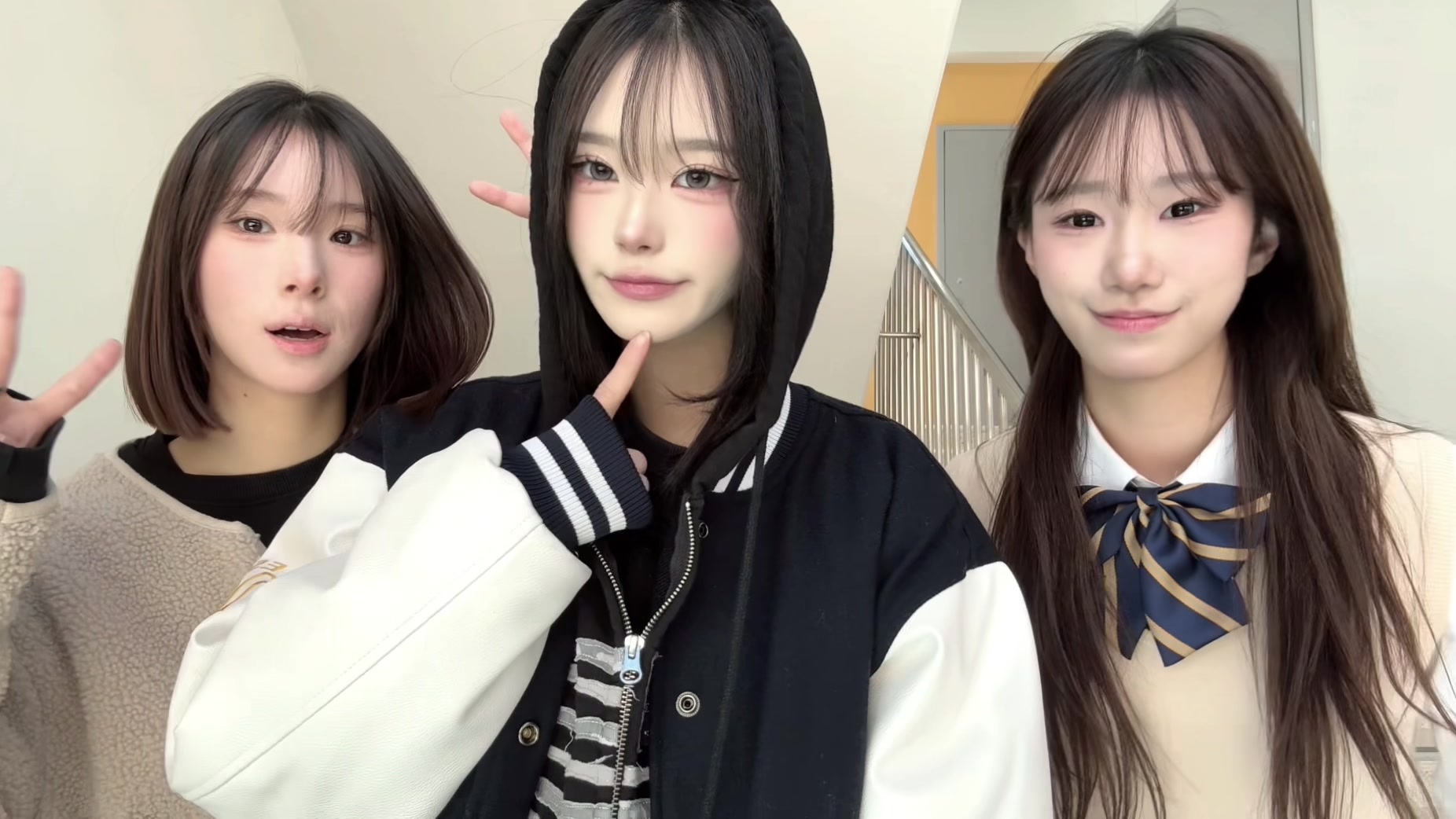 @죠팝나무