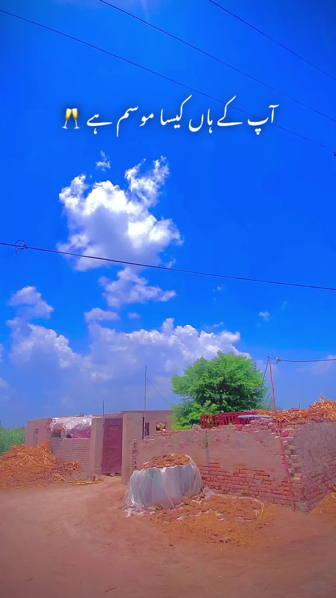 @ساجی موہل