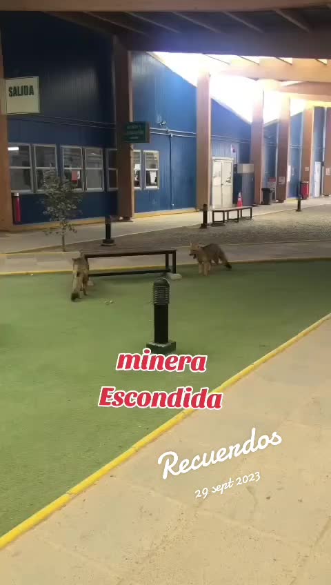 @klau_marce