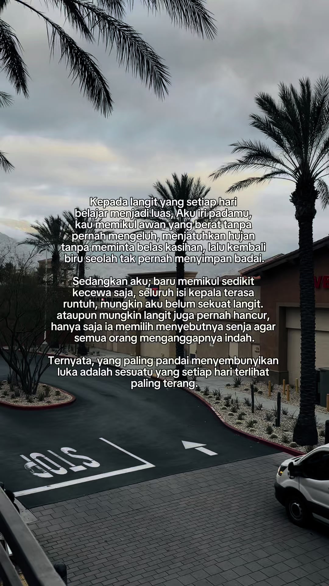 @Ci@ aja