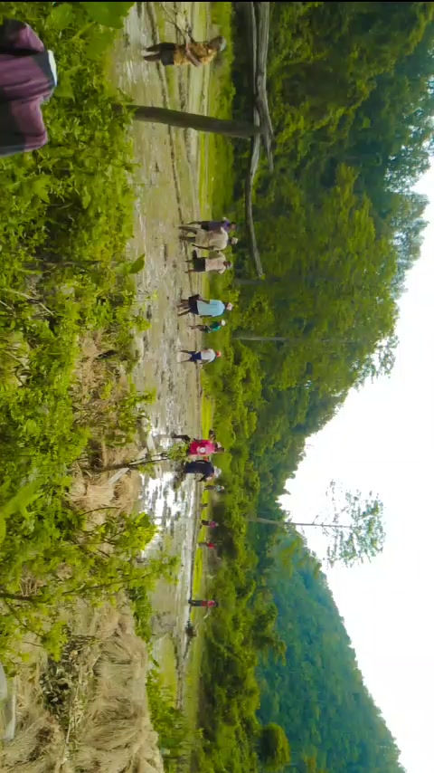 @Gore Bardewa