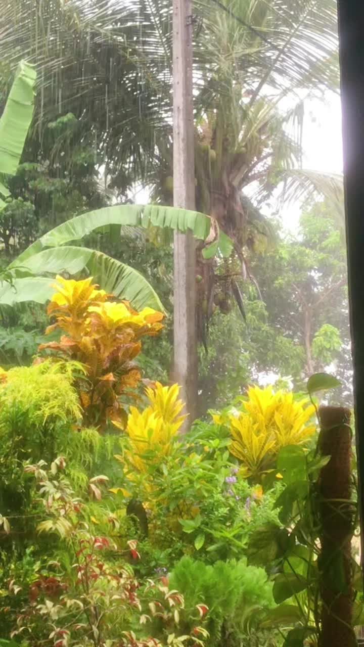 @_yashu_