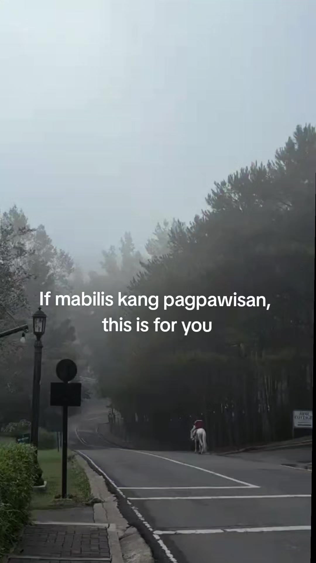 @LOEY