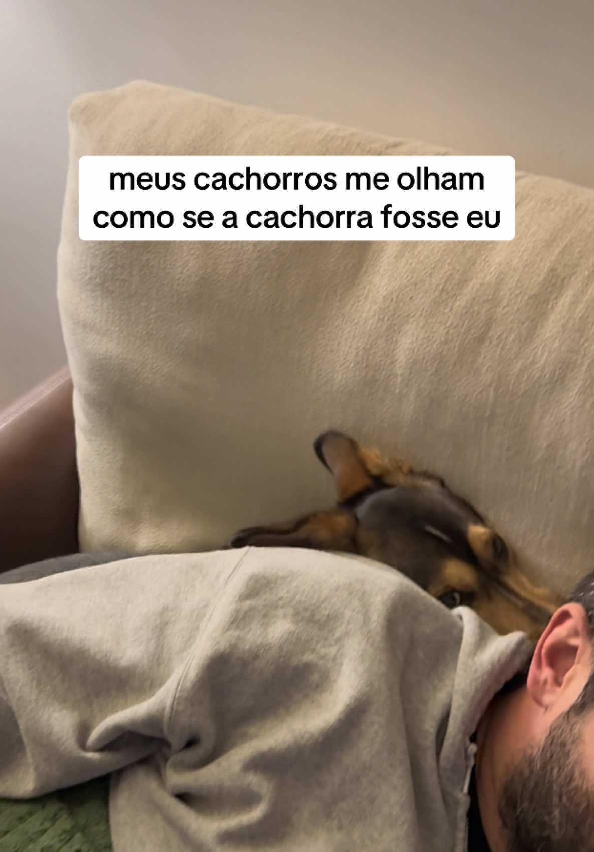 @2DOGSEMEIO