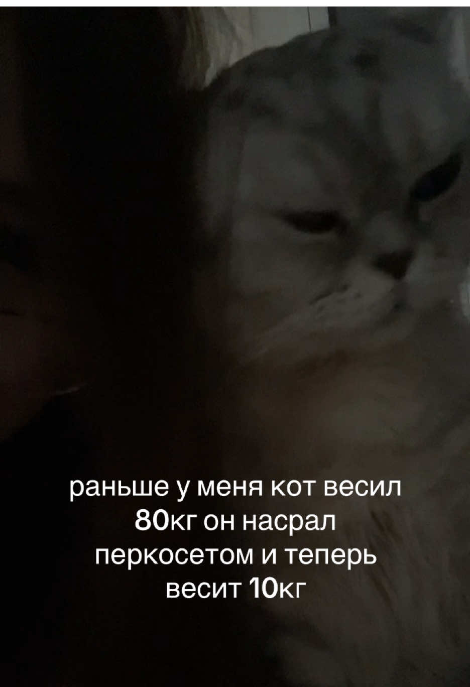 @9Jj916📼