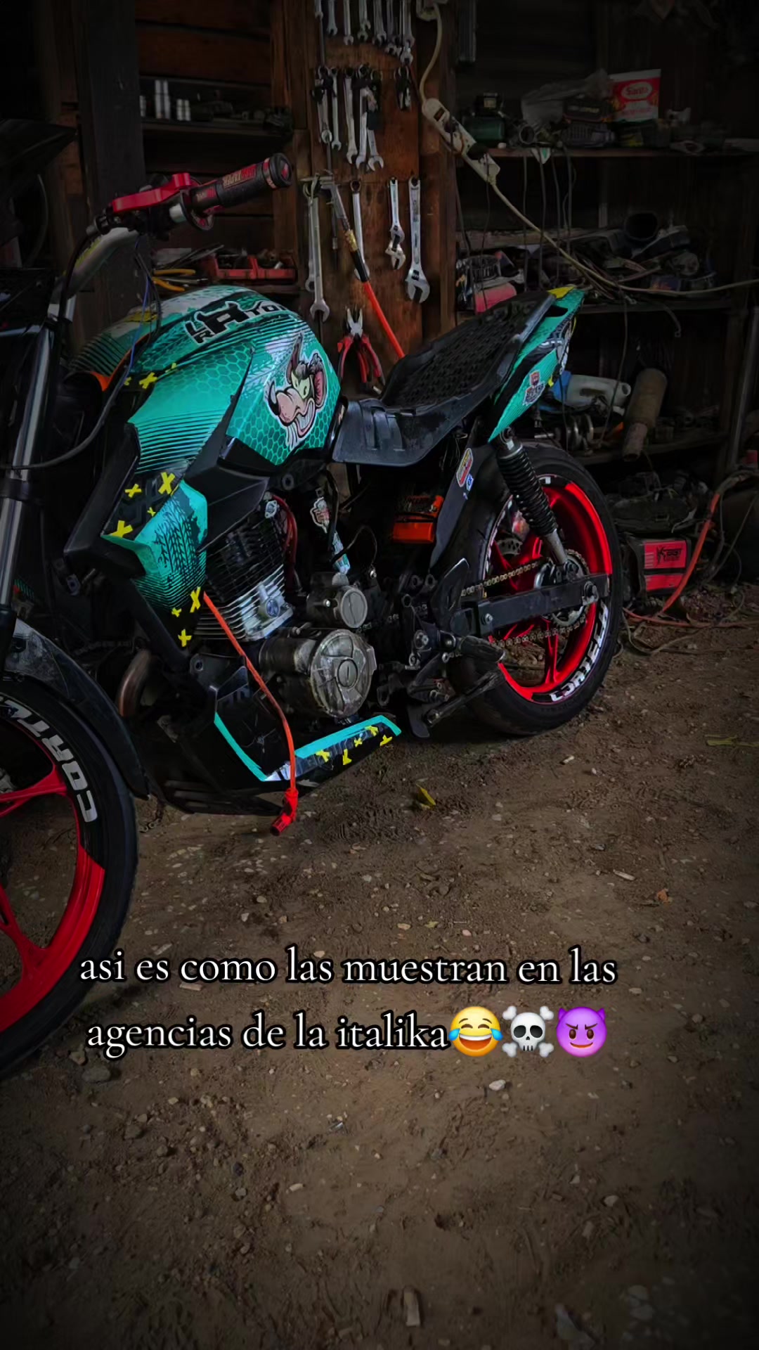 @tall3r col0ch0🔥🐽