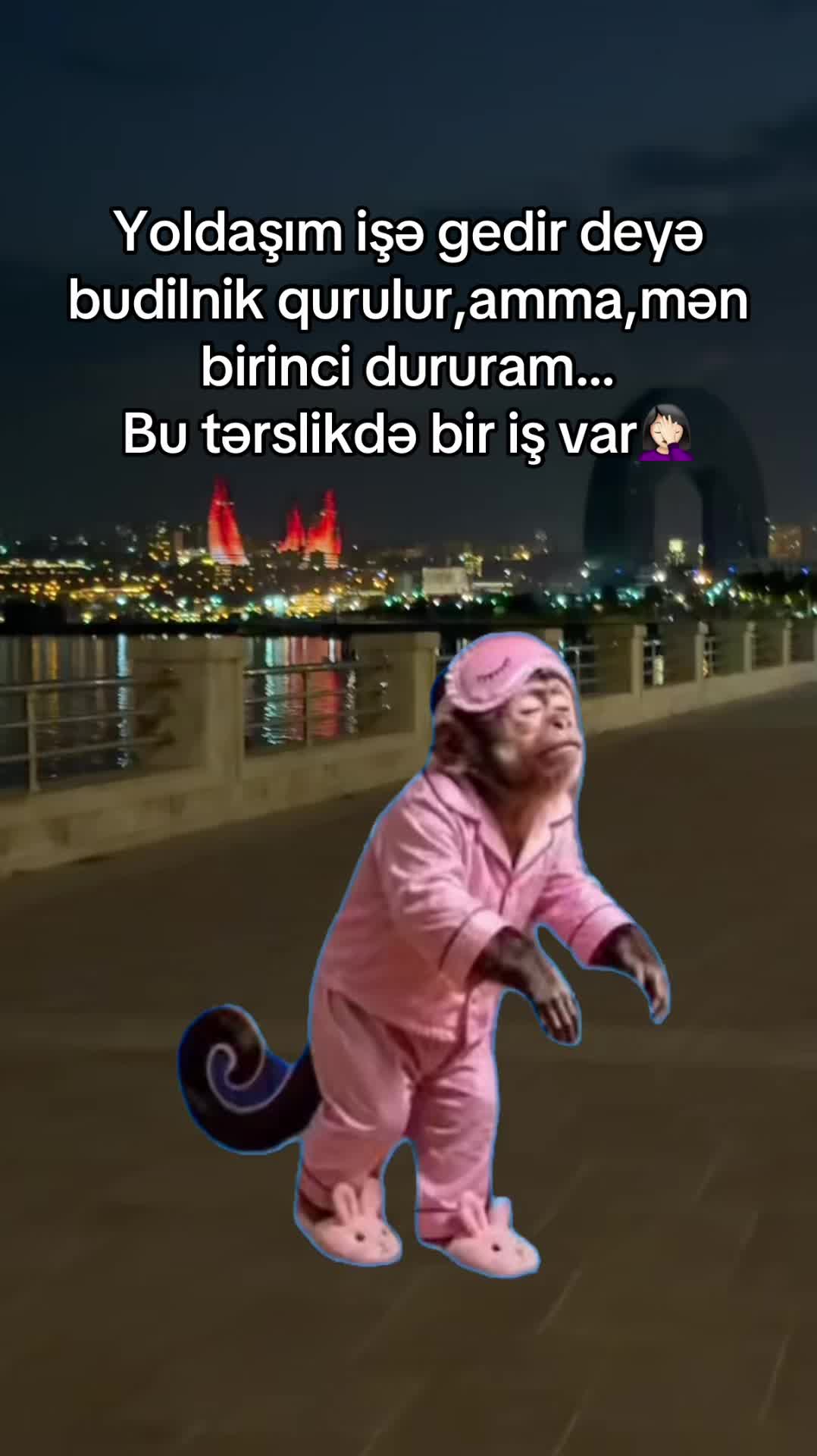 @İrade Hacieli