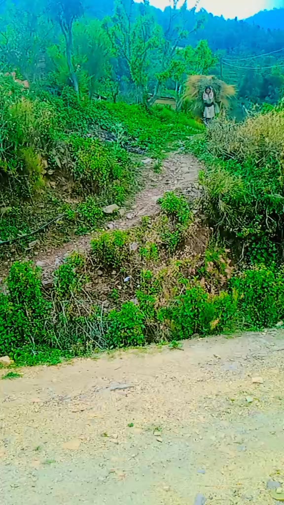 @parkash bhatta