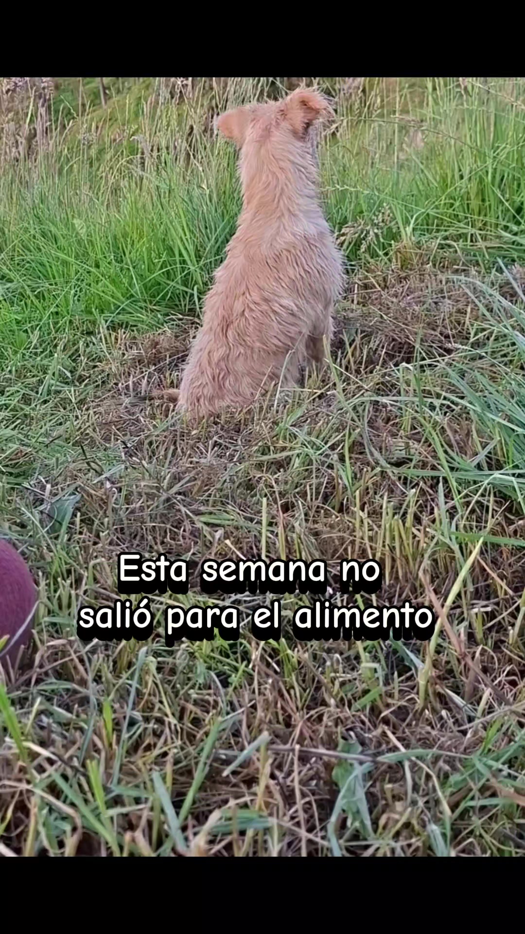 @Mary