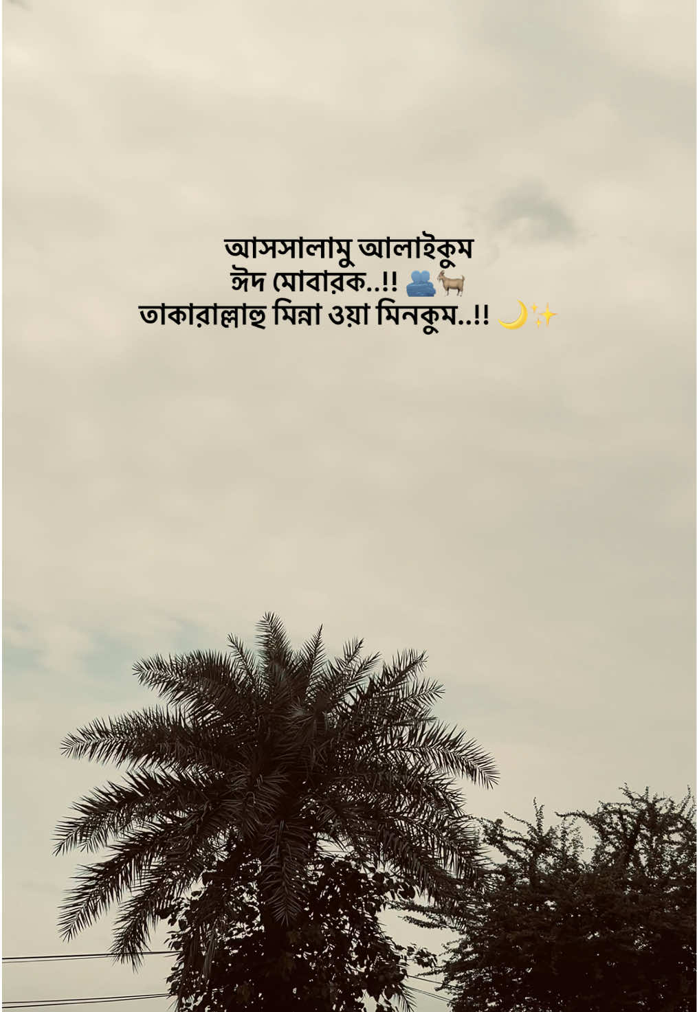 @ᴢꫝʜɪᴅ ••••••