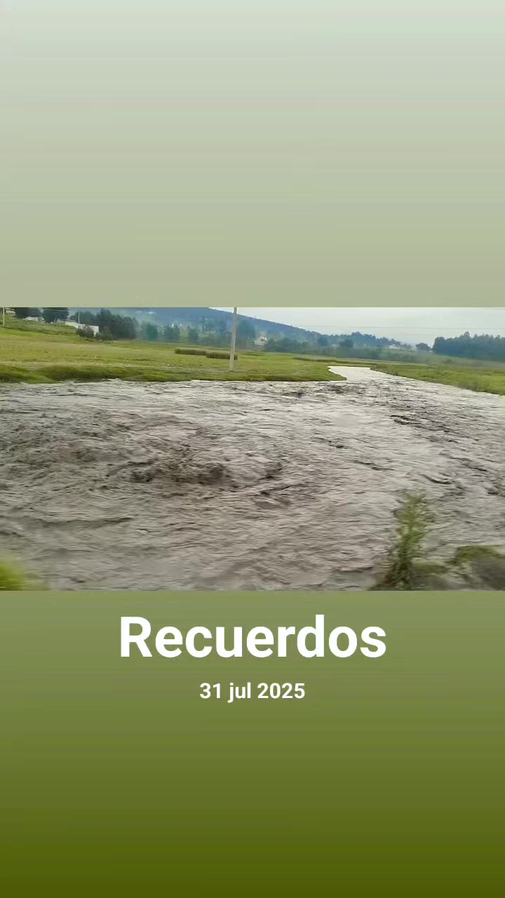 @Mony Mondrag&oacute;n