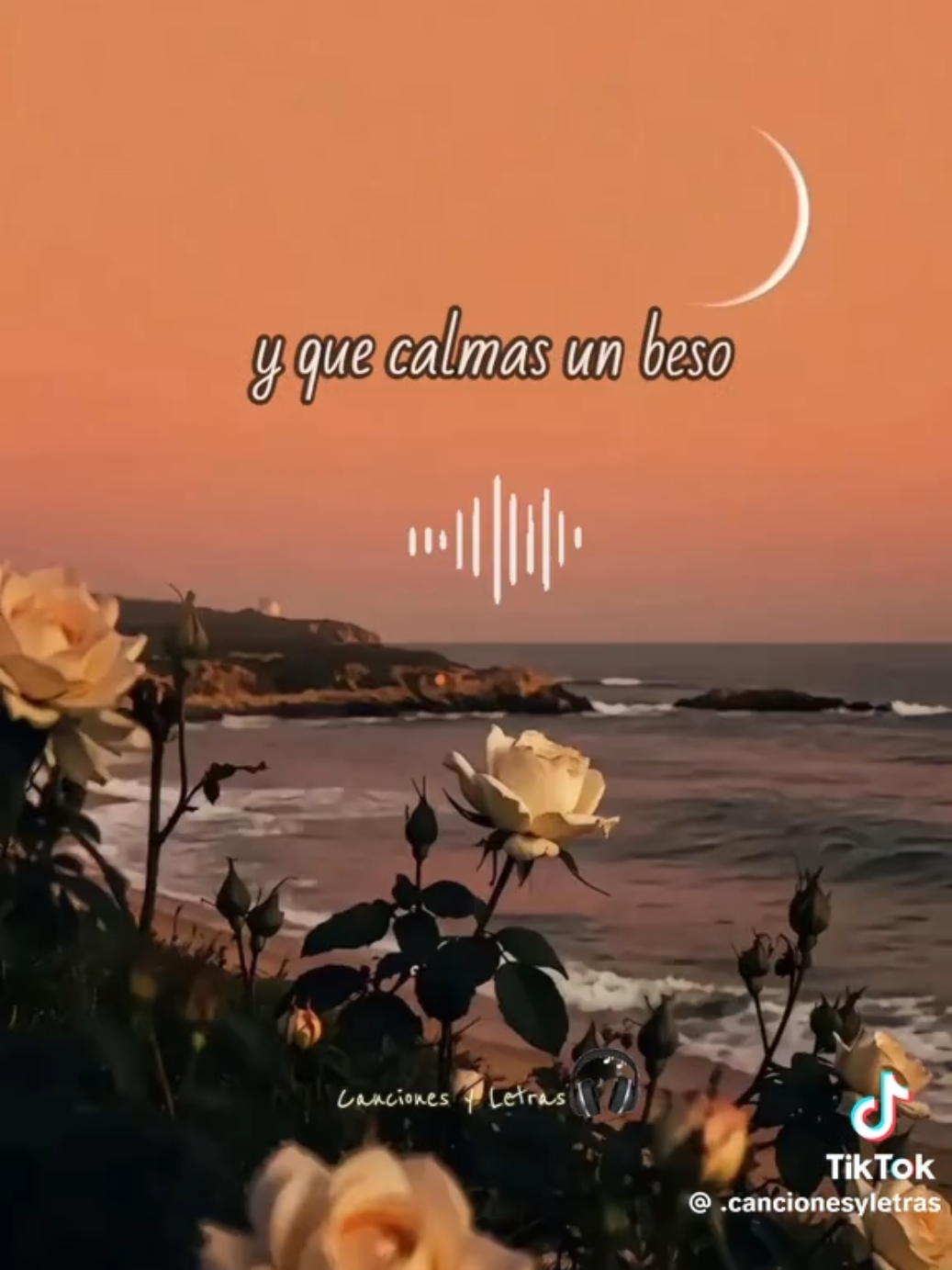 @Evelyn Hv