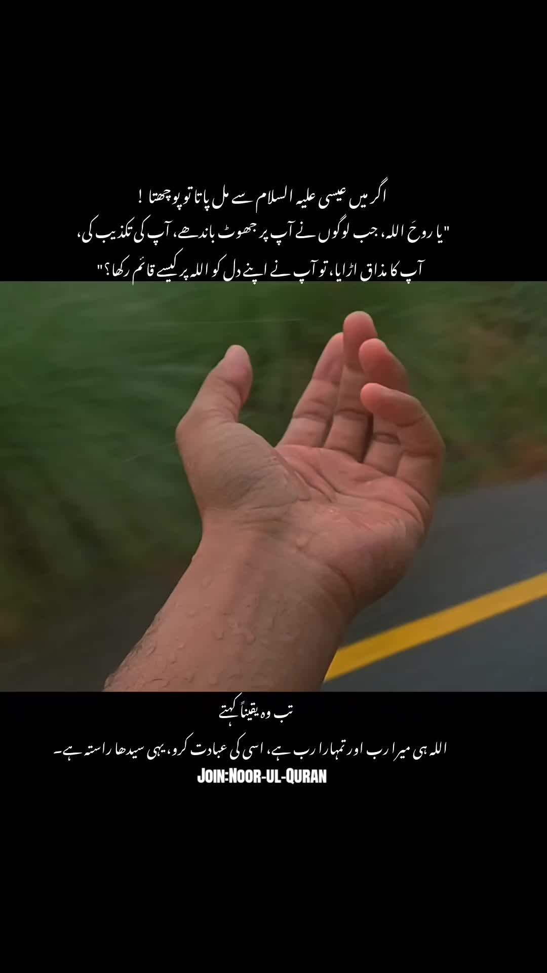 @قیس ✨🤍