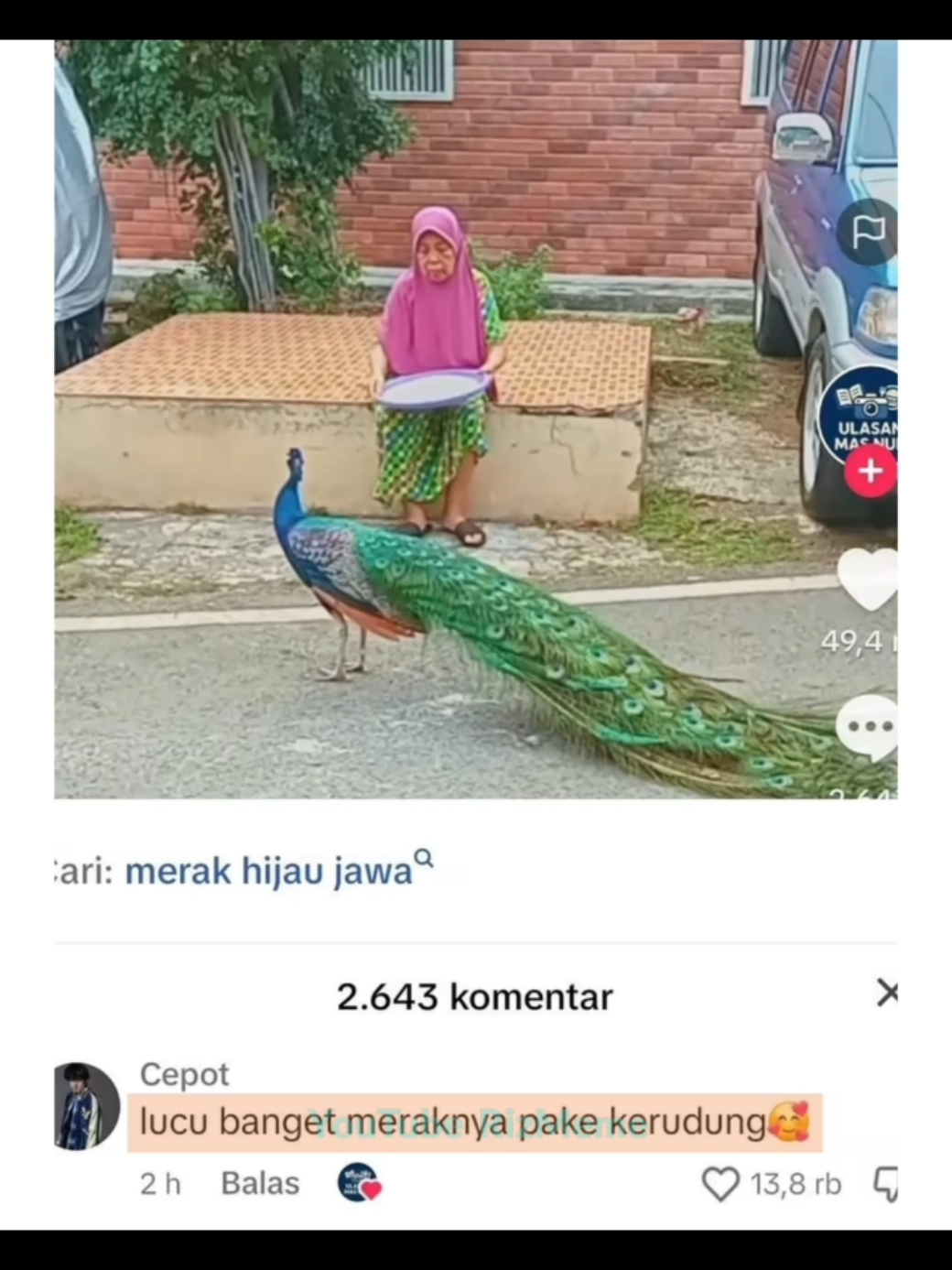 @RizMeme