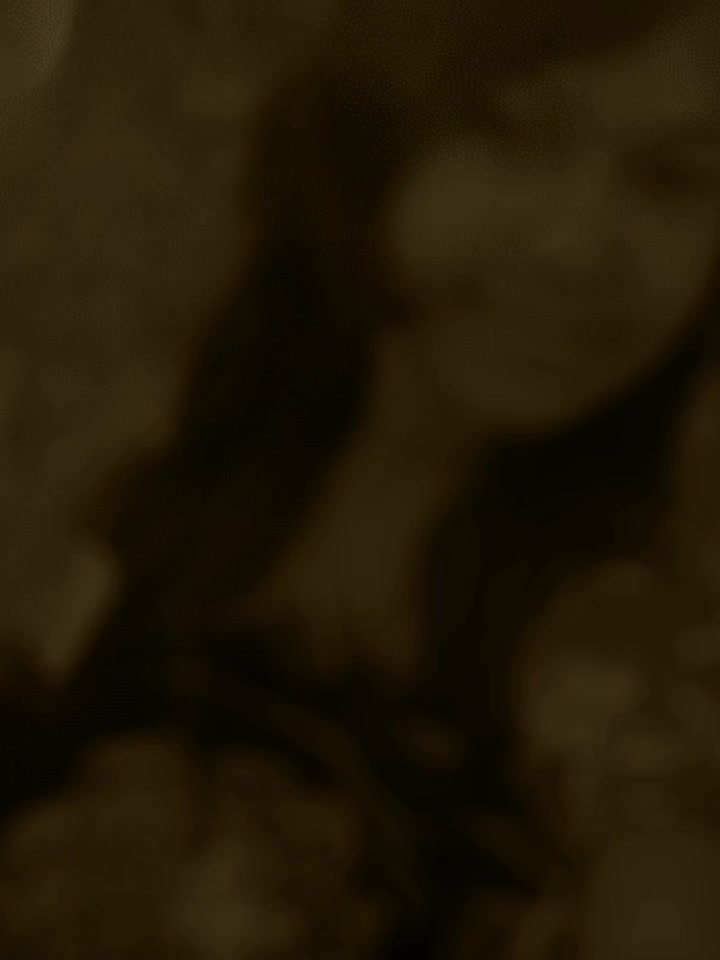 @kaveesha 2008