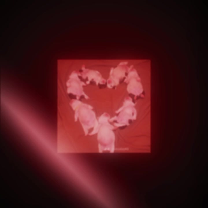 @5.A