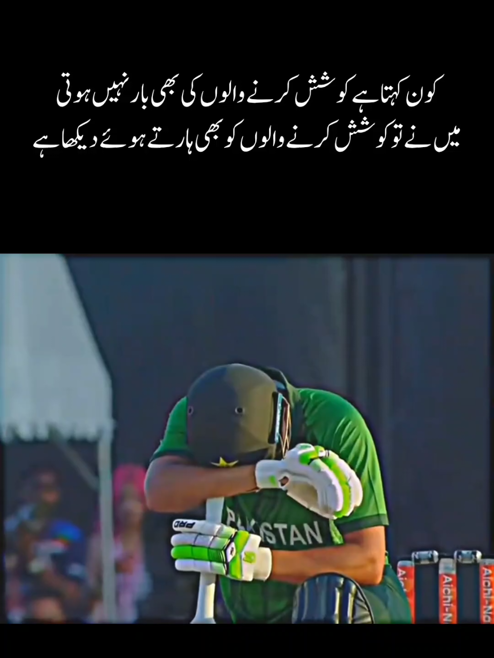 @cricket insight56