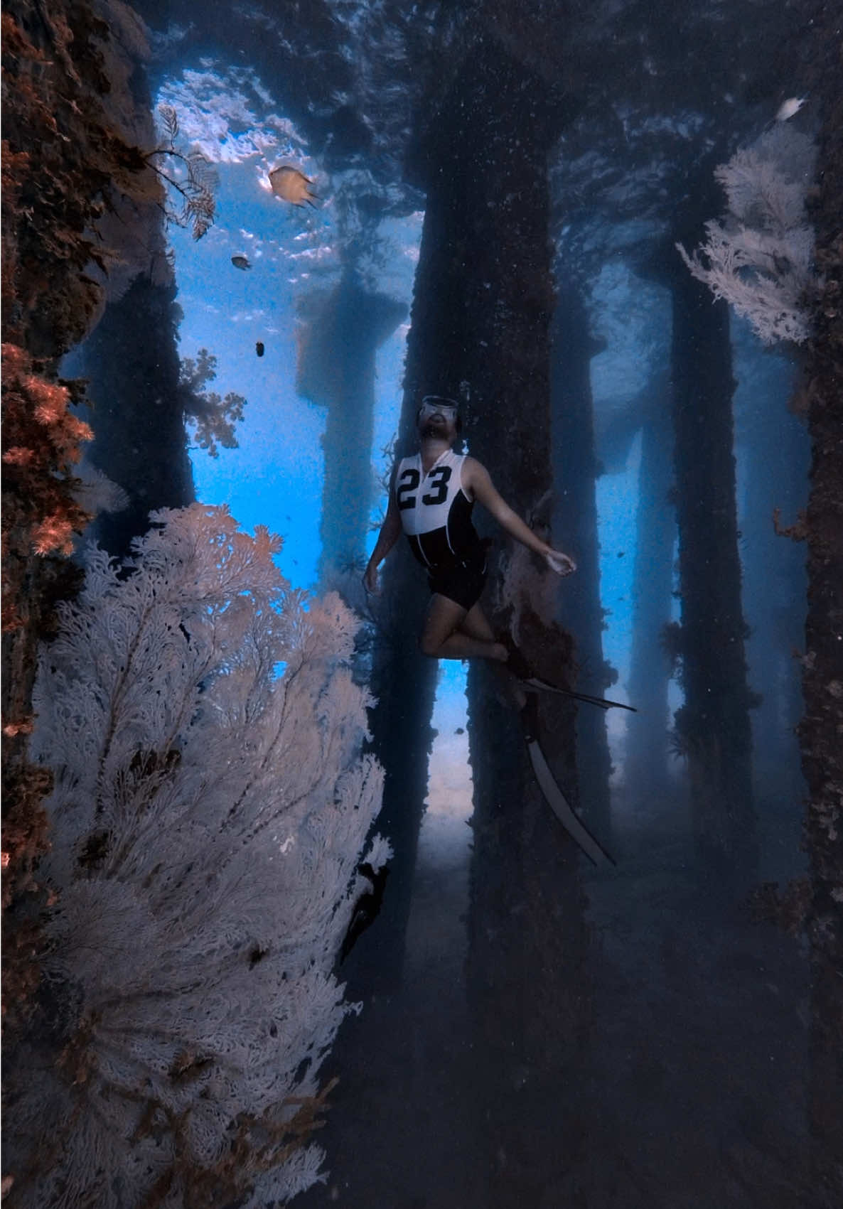 @@voltamazingfreediver
