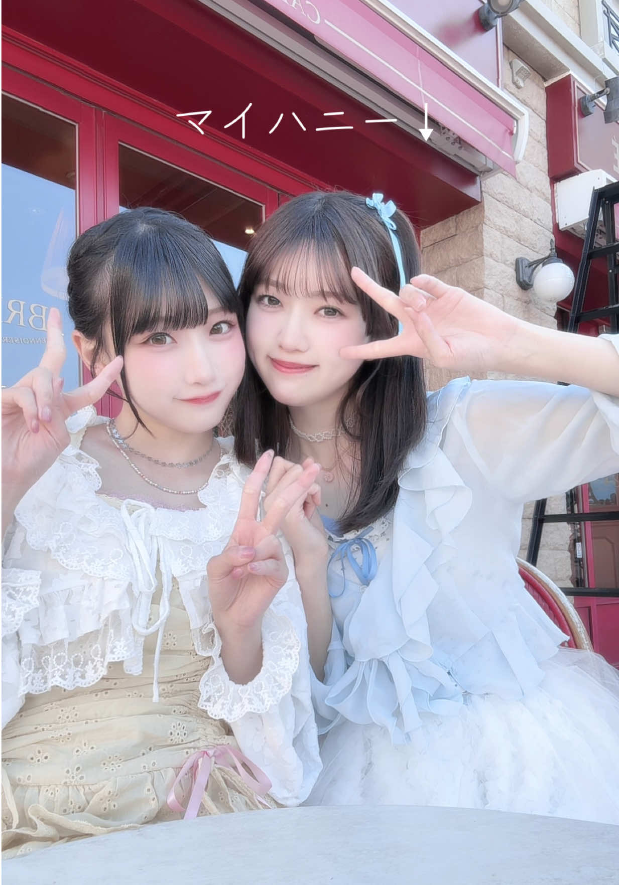 @せんしゅちゃん