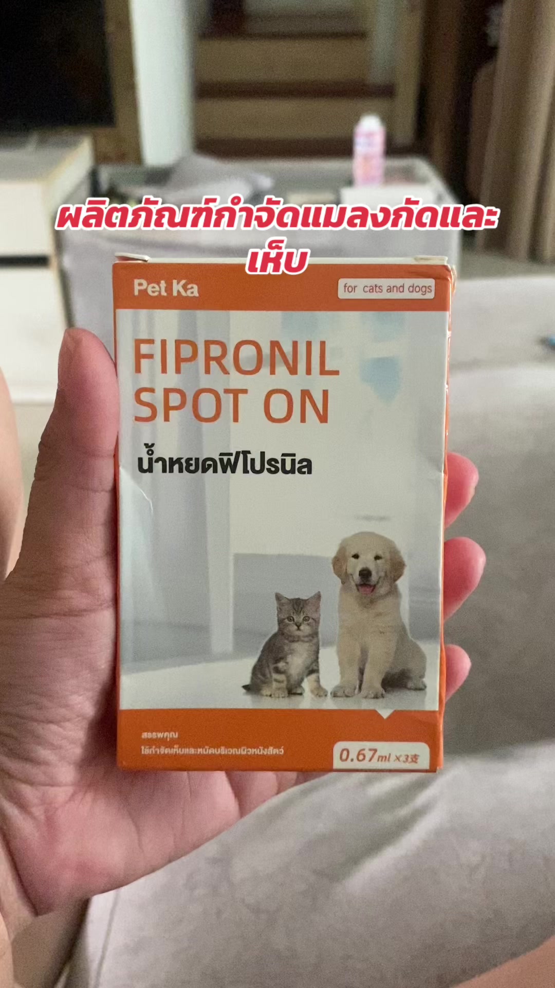 @luxsiriwan21