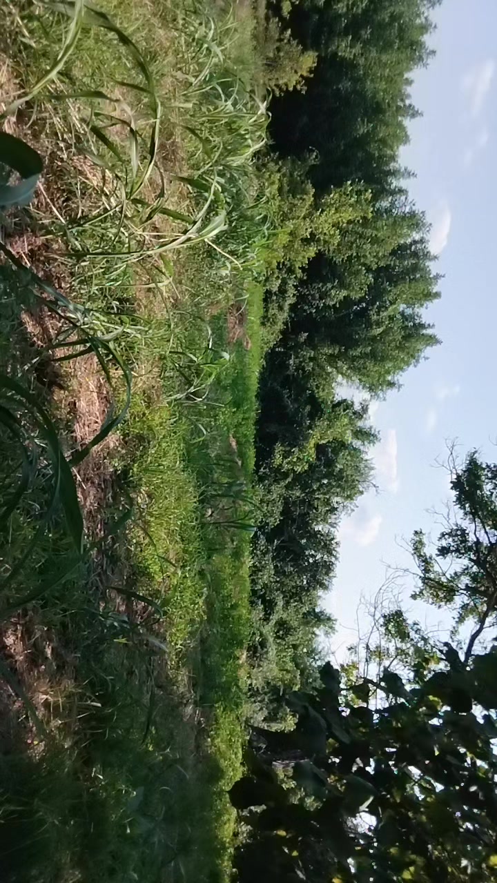 @Бахруз Насиров