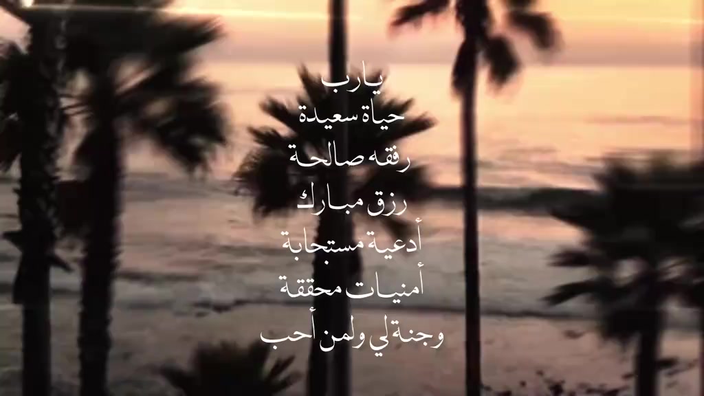 @m3o 🪗 .