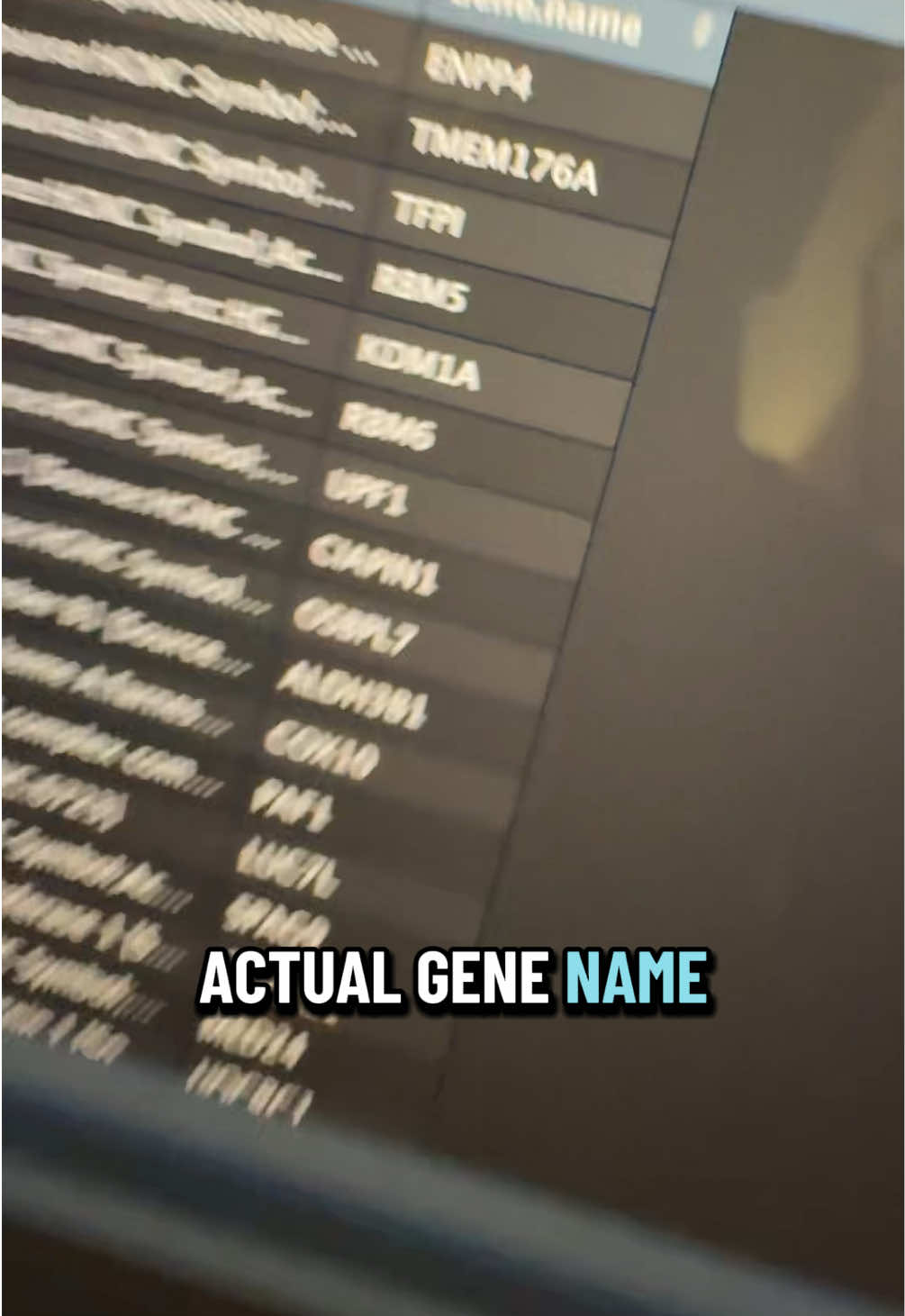 @Mikkerz