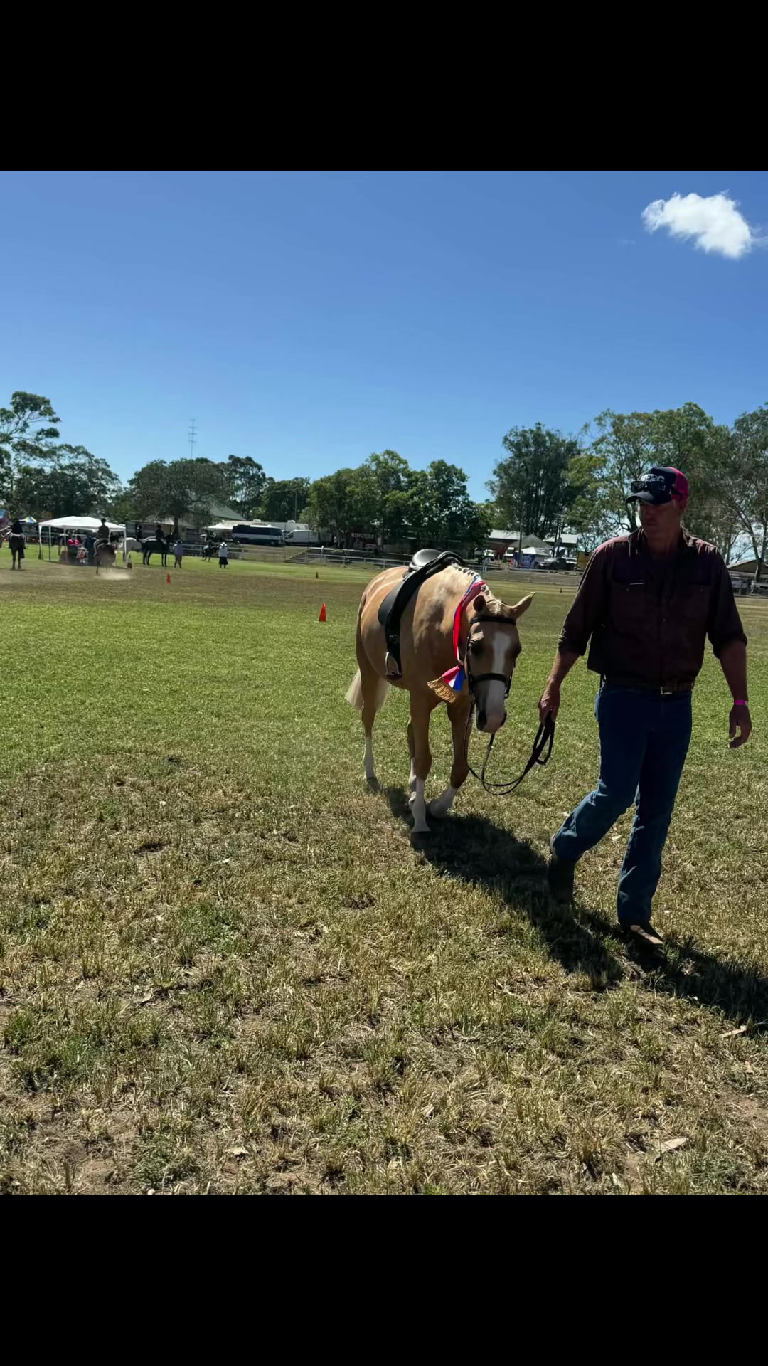@RV Park Show Ponies