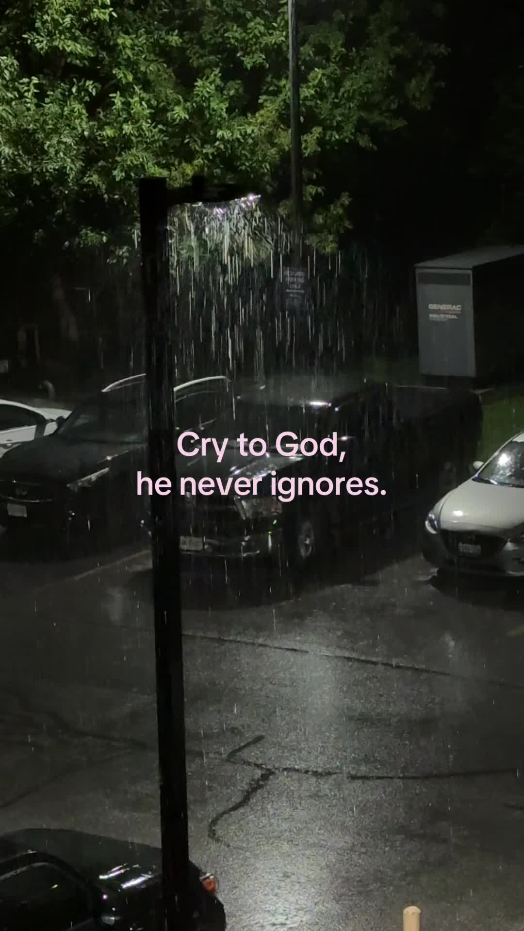 @ℒ ᥫ᭡