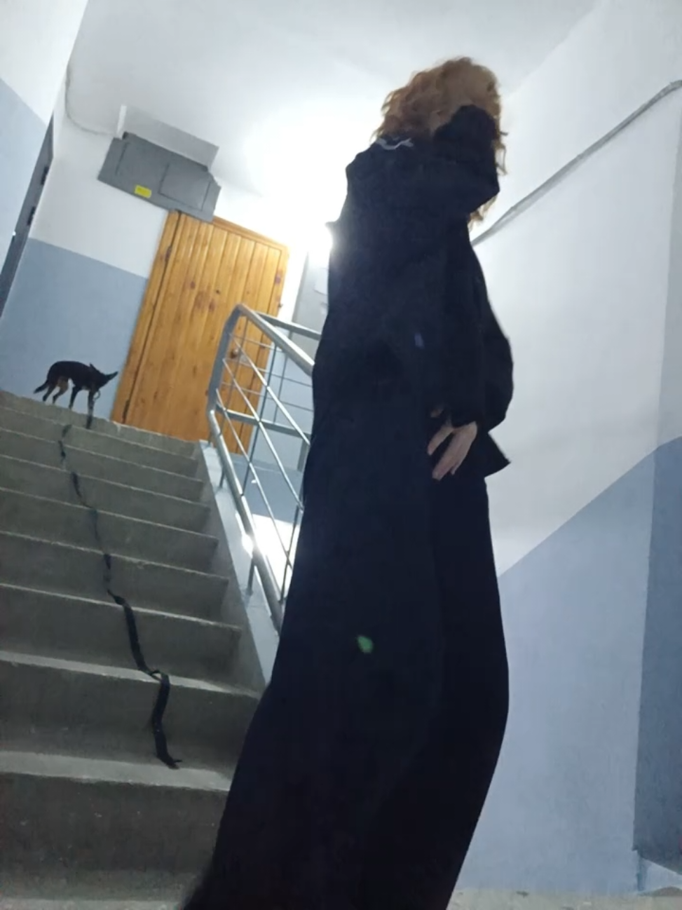 @Лесник