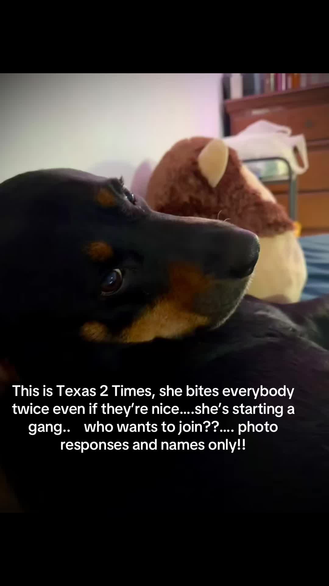 @Jamie & Texas