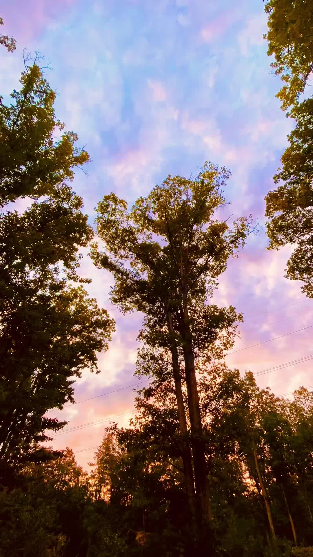 @sizemore13