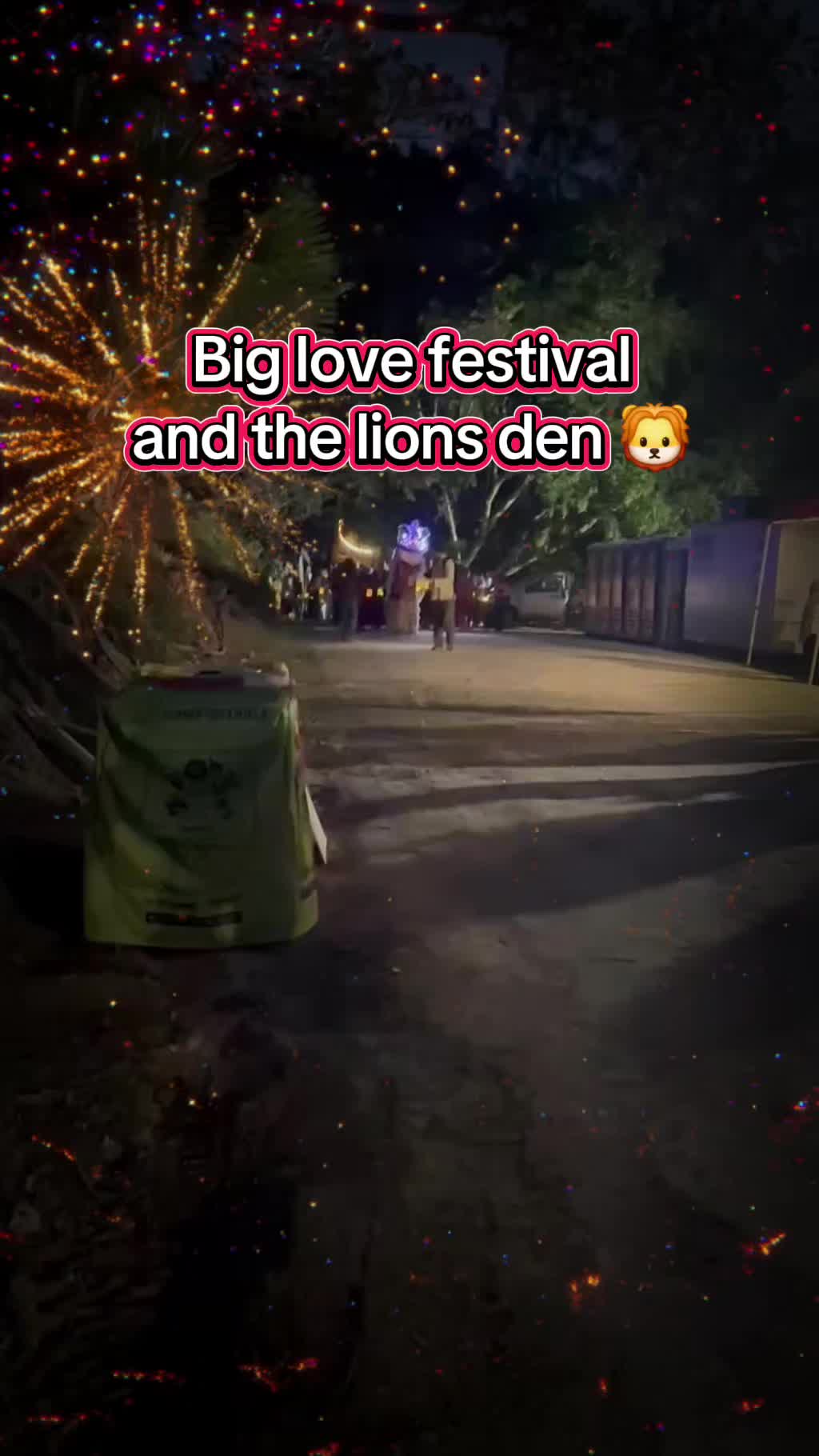 @Daniel the lion 🦁