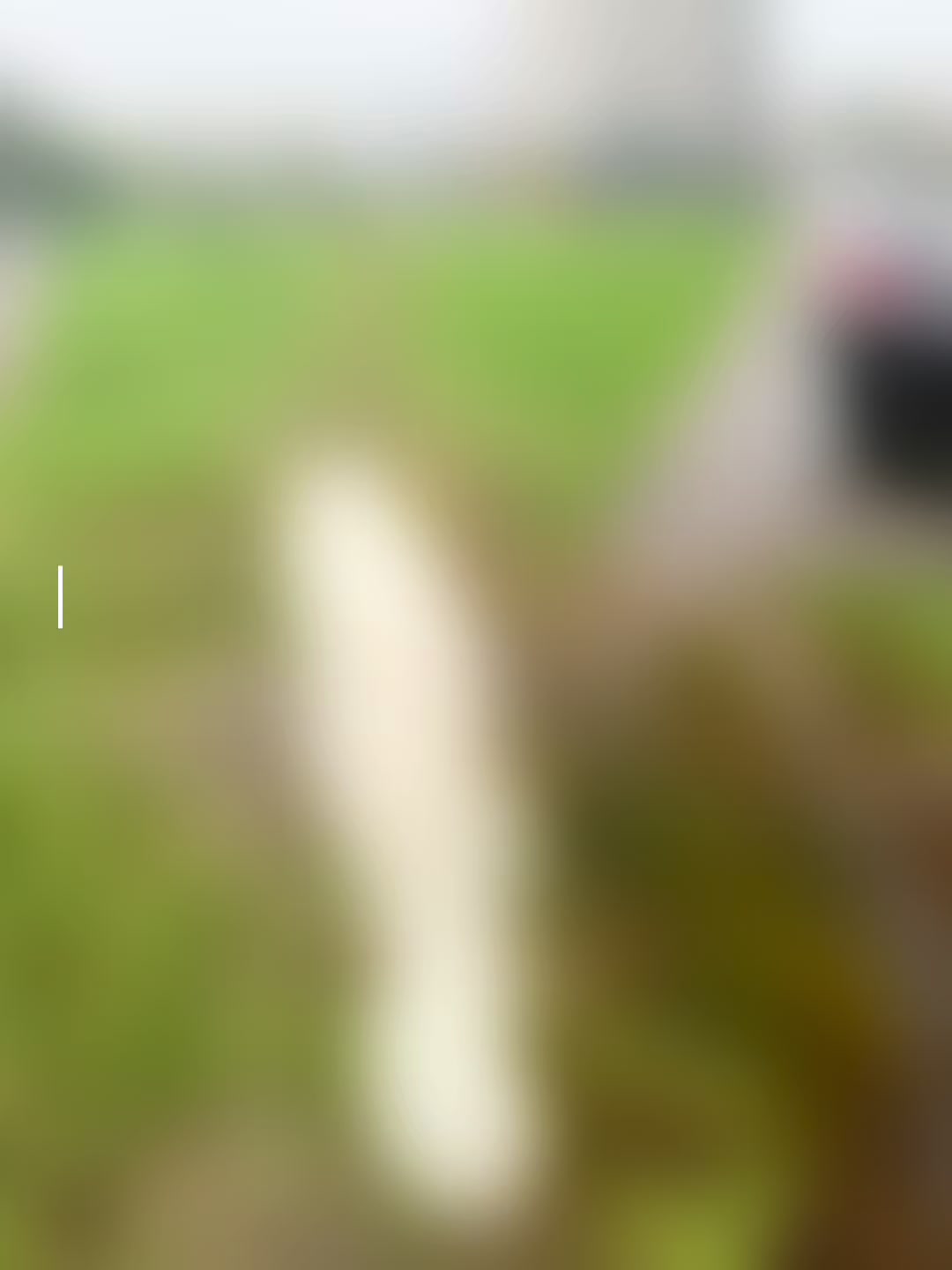 @Кареглазый блондин👁️