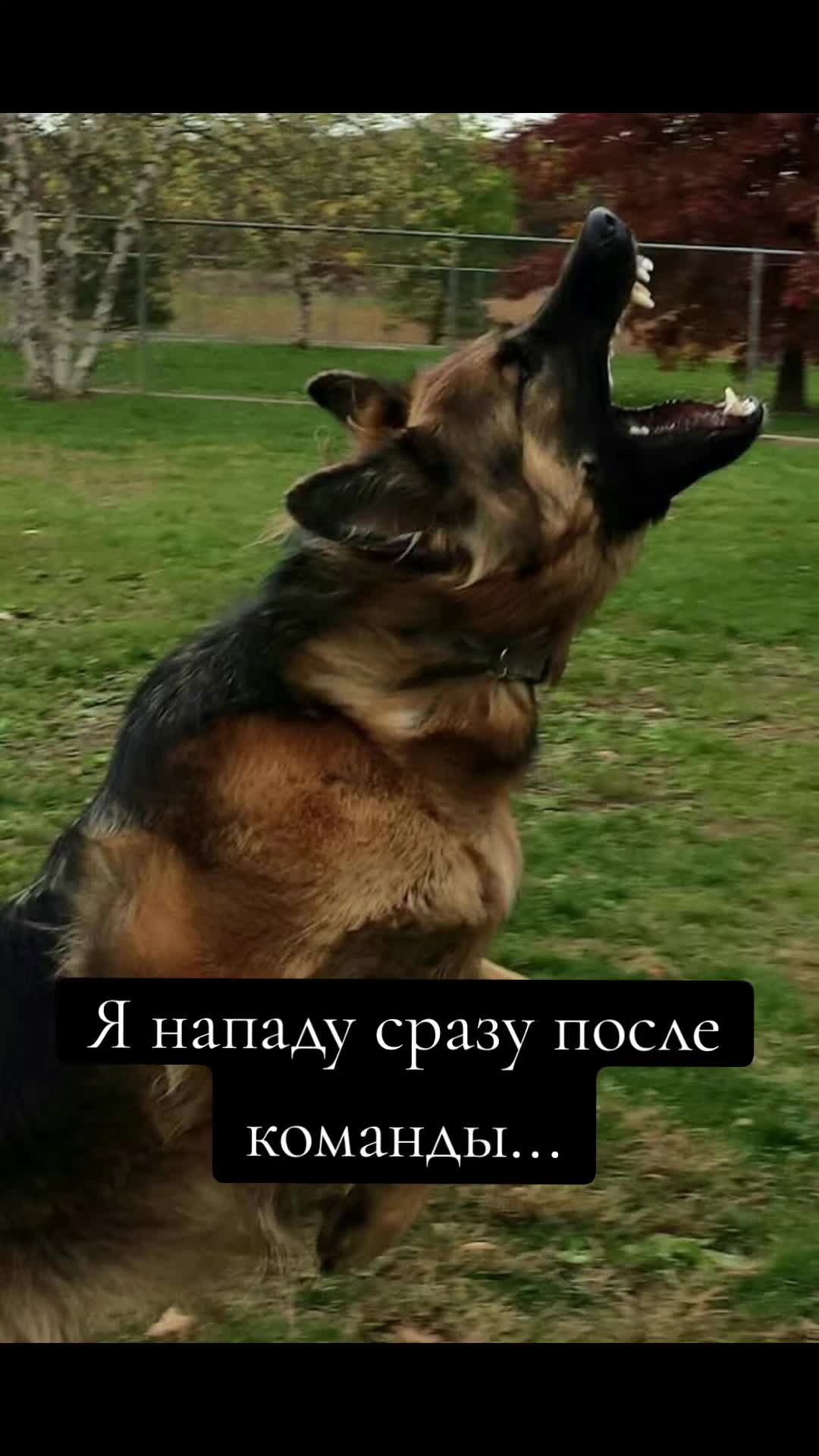 @Лена