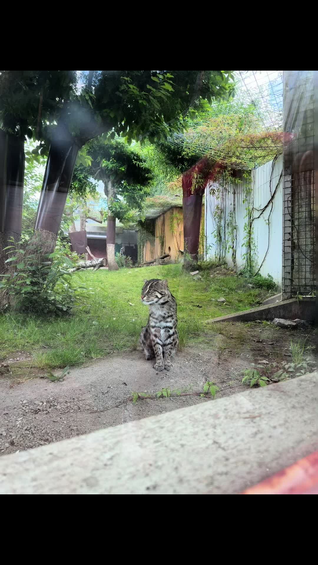@✨ 𝒁𝒂𝒏𝒅𝒓𝒊𝒊𝒊𝒛✨