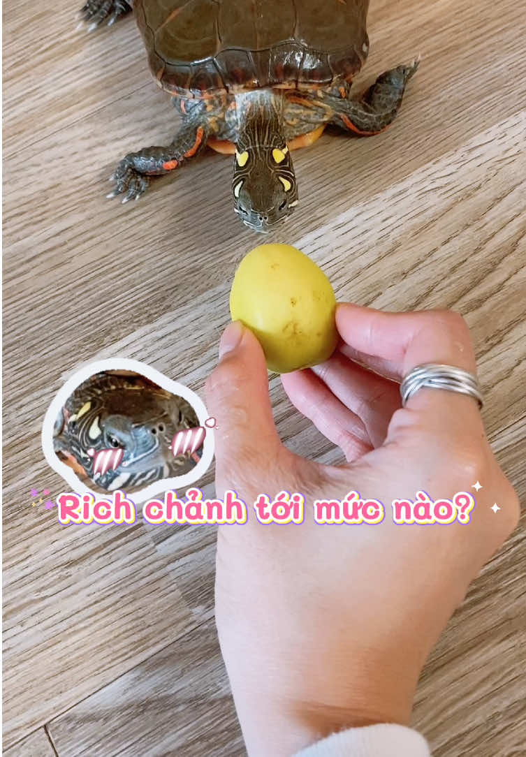 @Nh&agrave; c&oacute; r&ugrave;a v&agrave; ch&oacute;