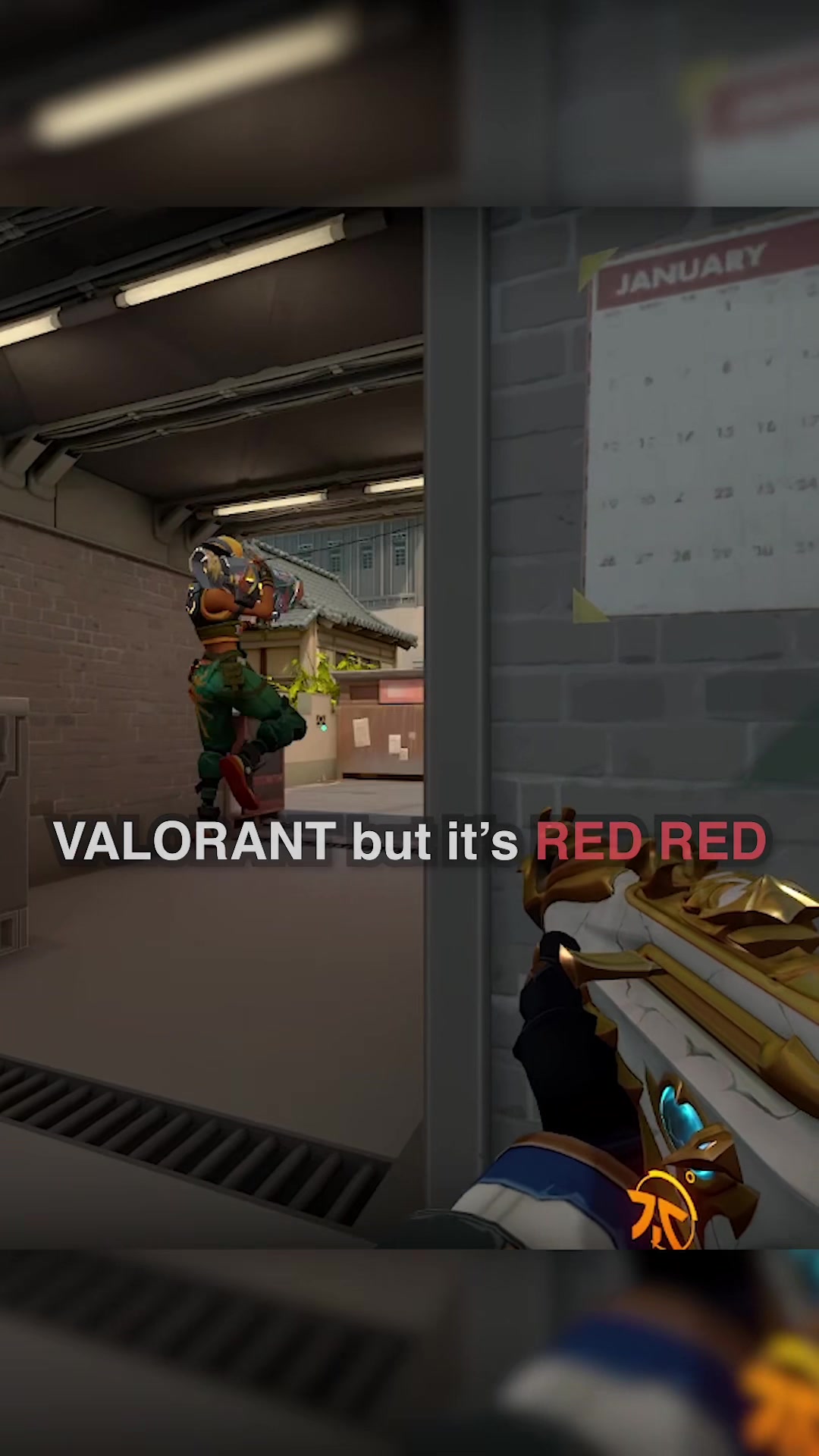 @FNATIC