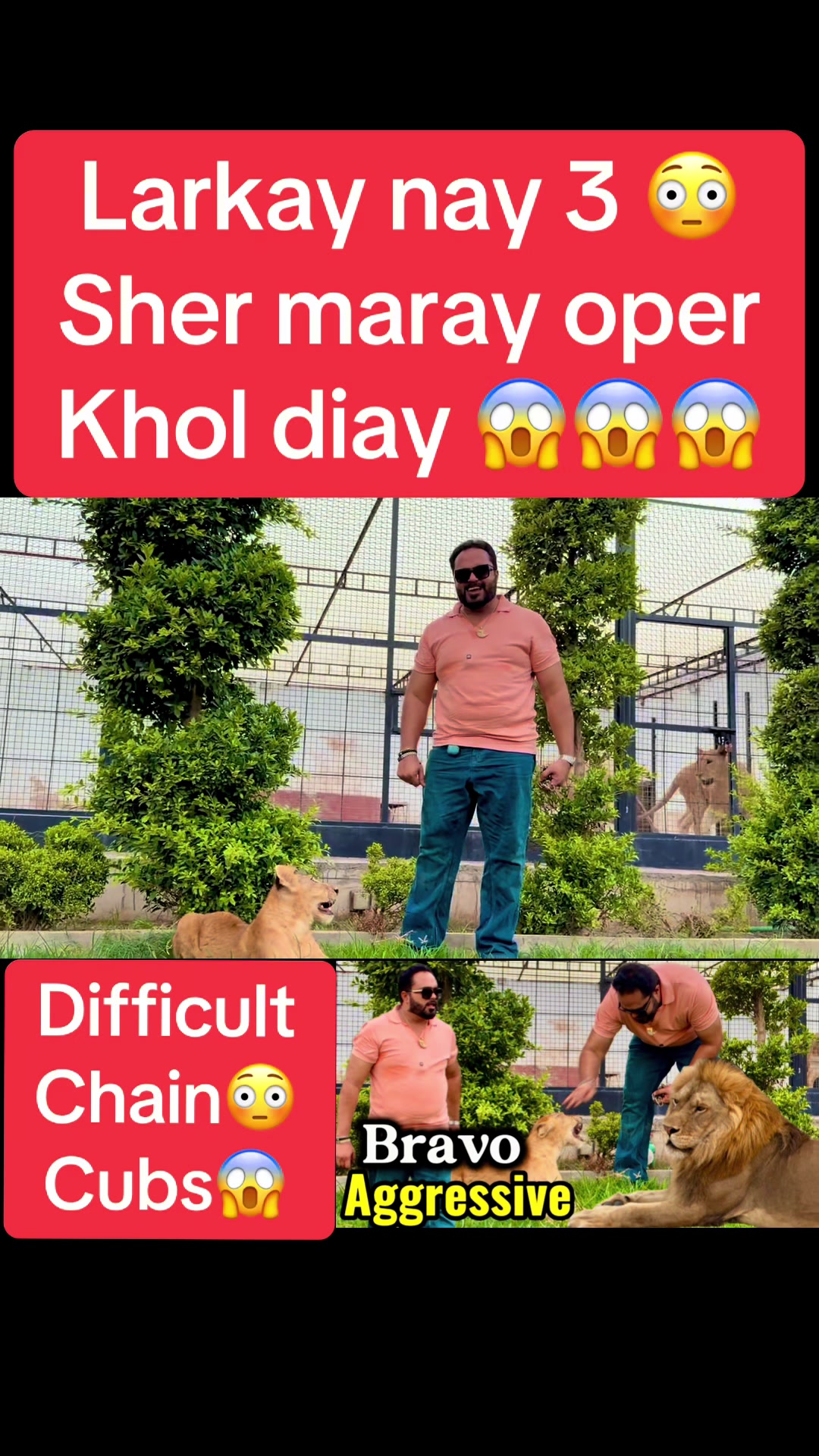 @Mian saqib