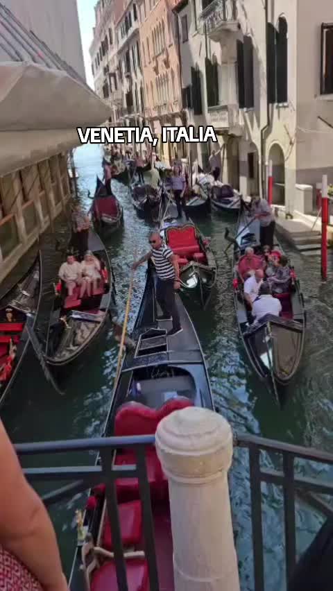 @Nița Foitoș