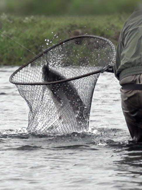 @Fishing TV