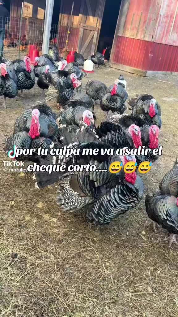 @Alex cc.🇻🇪 -🇺🇲