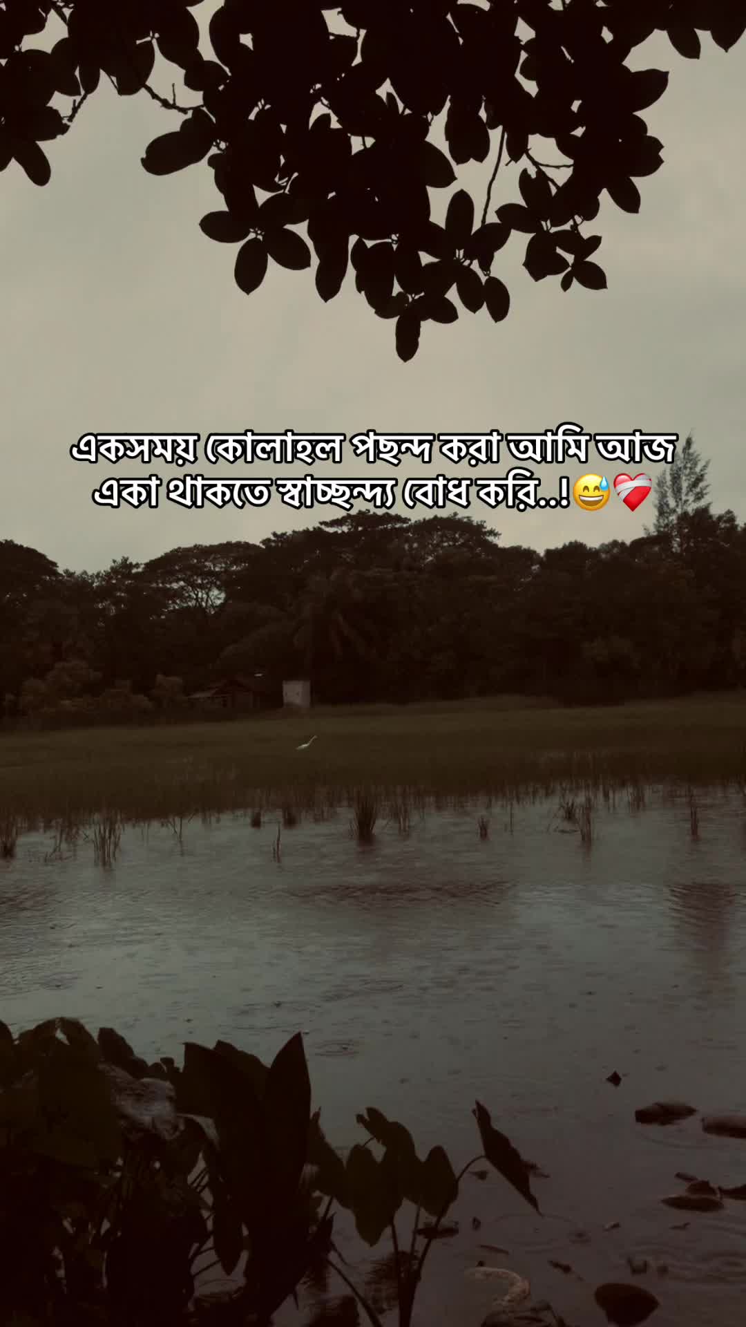 @the_spydoo🕸️ 🥏